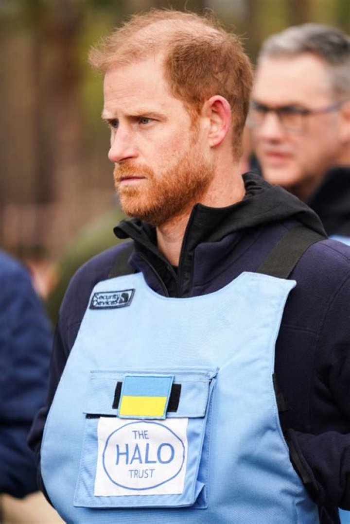 Would Prince Harry Still Step in as King if William and Charles Died?