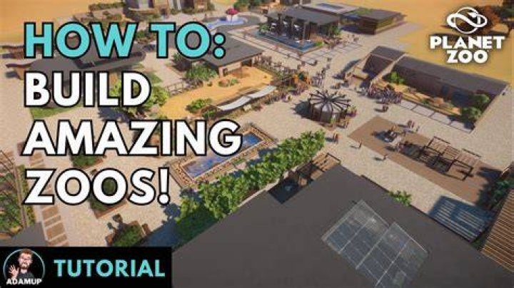 Zoo Building Tips For Beginners TheGamer