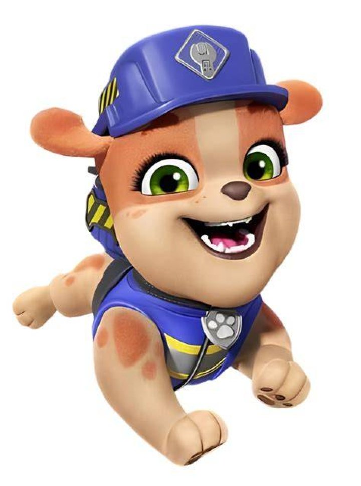 Zuma/Gallery PAW Patrol Wiki FANDOM powered by Wikia